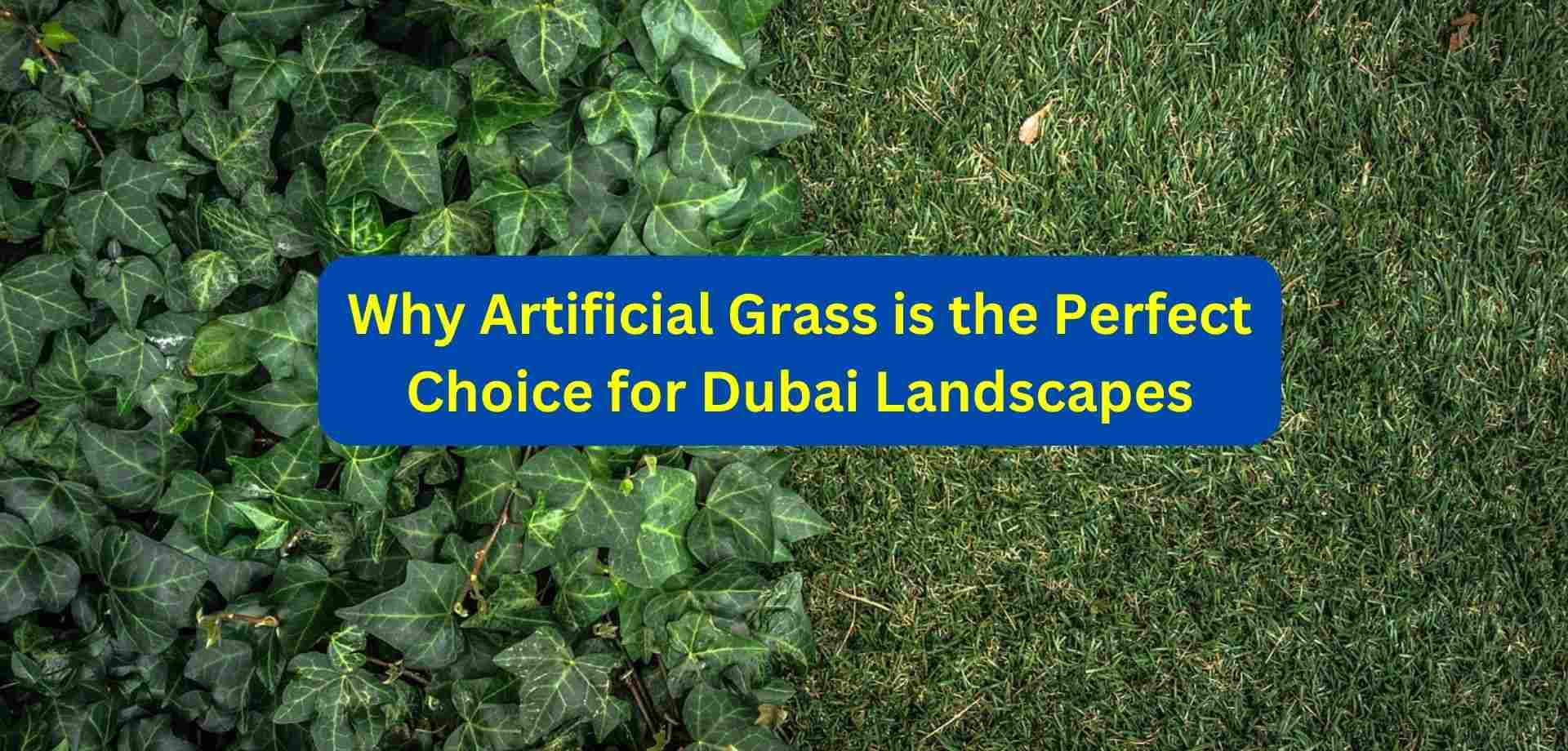 artificial grass in Dubai