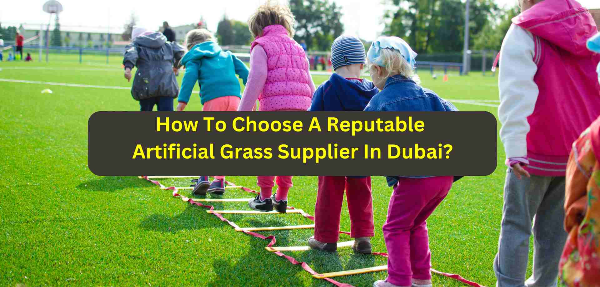 artificial grass supplier in Dubai