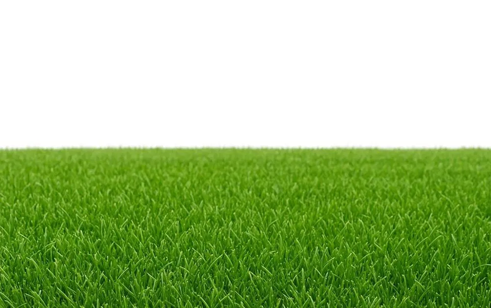 Why Artificial Grass is a Must-Have for Your Outdoor Space in 2025?