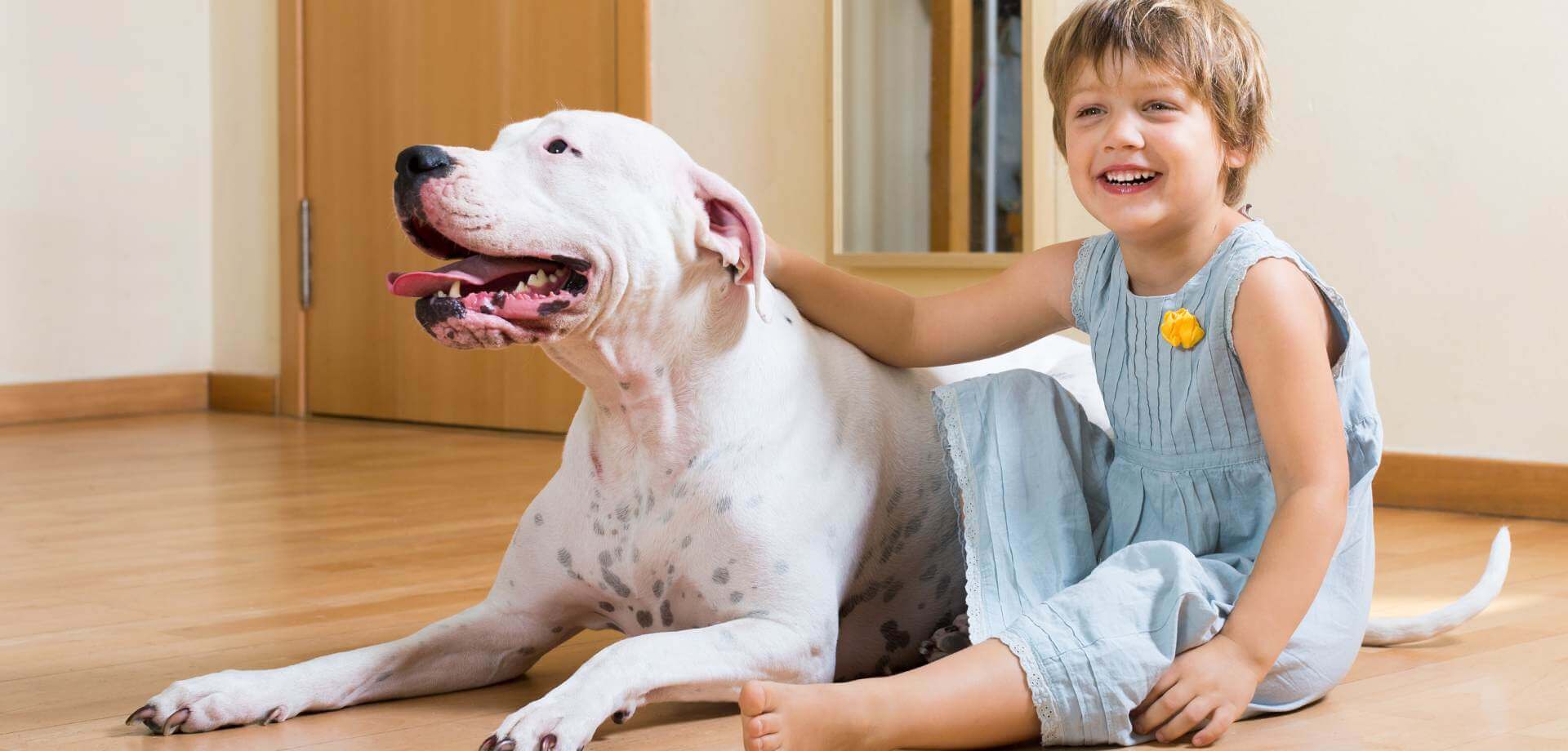 What is the Best Flooring for Kids & Pets