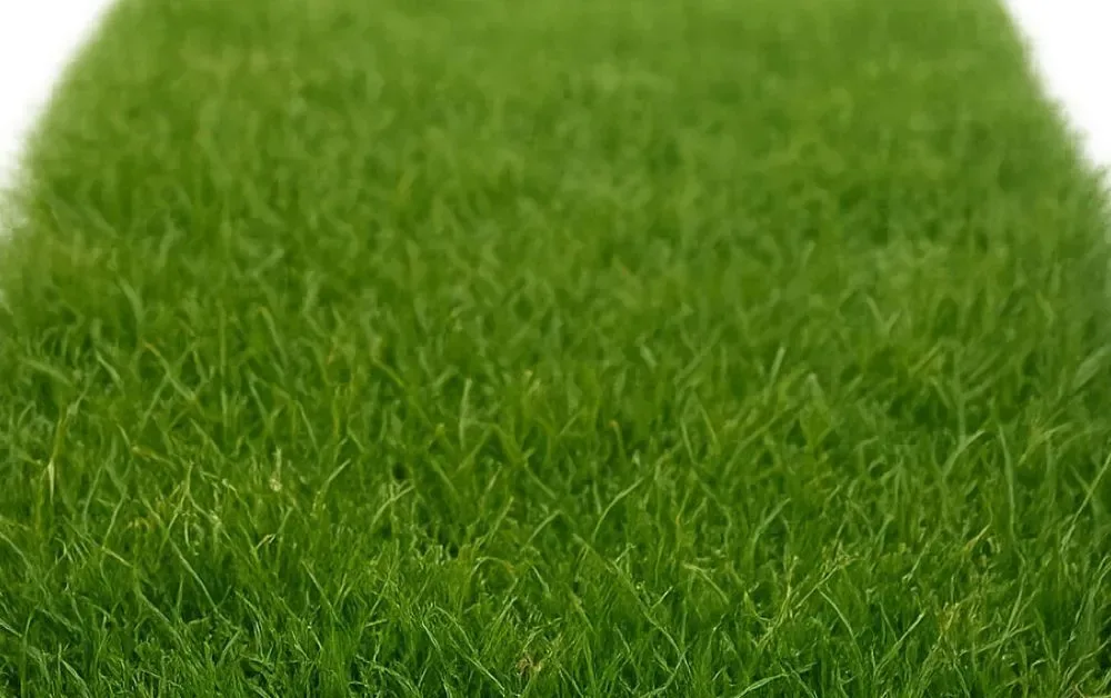 Why Artificial Grass Is the Future of Sustainable Landscaping?