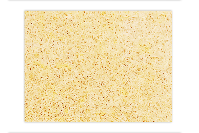 EXHIBITION CARPET 202001-CAMEL